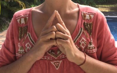 Les mudras, cette belle boîte à outils