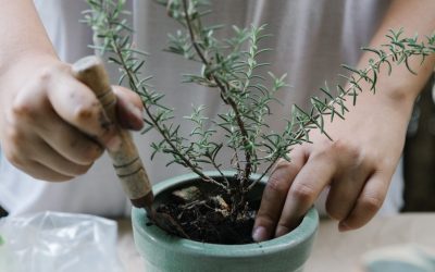 Prendre soin des autres, jusqu’à quel point ?