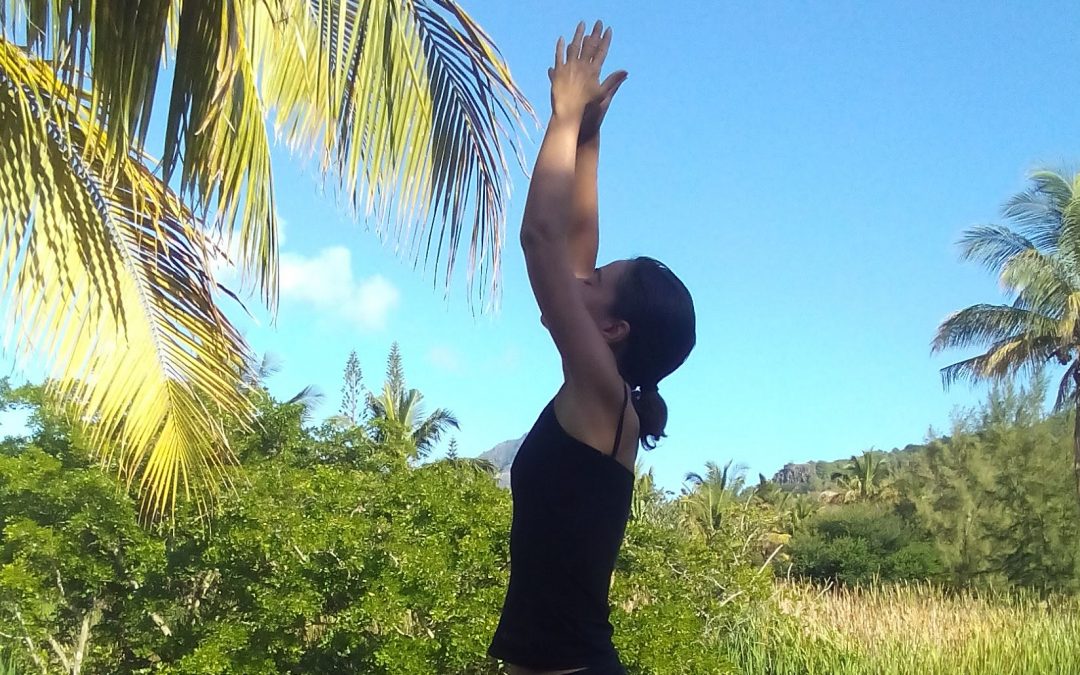 Yoga avec Emilie grandit !